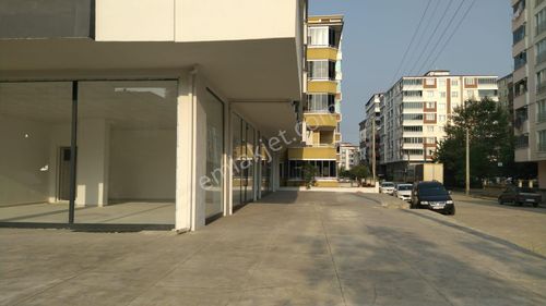 İşyeri-Dükkan & Mağaza