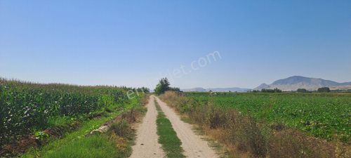 Arsa-Tarla