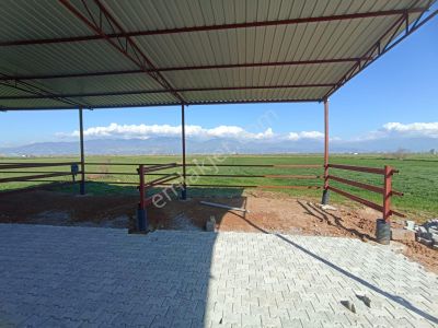 Arsa-Tarla