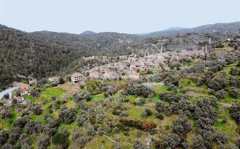 Arsa-Tarla