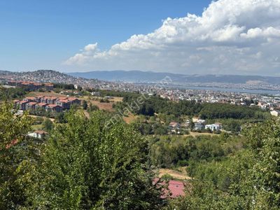Arsa-Konut İmarlı