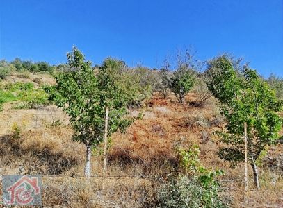 Arsa-Bağ & Bahçe