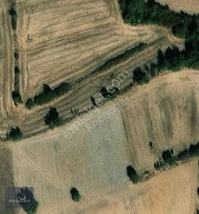 Arsa-Tarla
