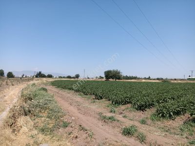 Arsa-Konut+Ticaret Alanı
