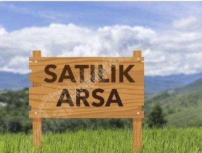 Arsa-Tarla