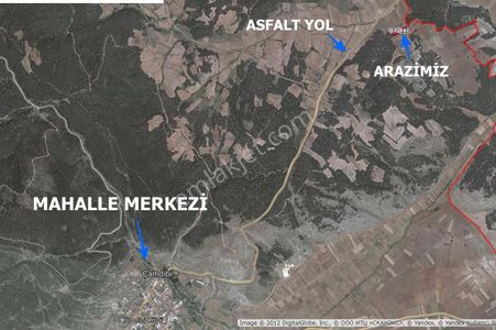 Arsa-Tarla