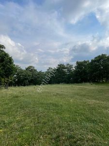 Arsa-Tarla