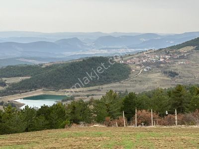Arsa-Tarla