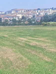 Arsa-Tarla