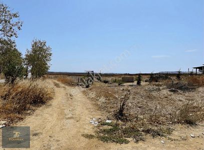 Arsa-Tarla