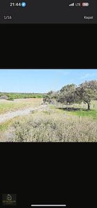 Arsa-Tarla