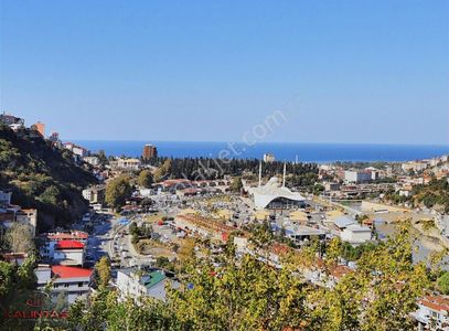 Arsa-Konut İmarlı