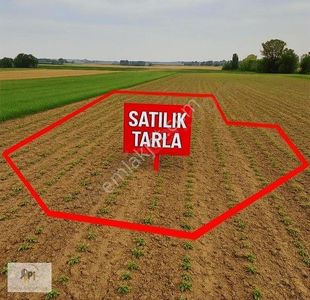 Arsa-Tarla
