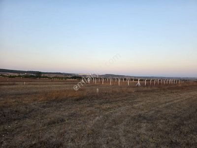 Arsa-Tarla