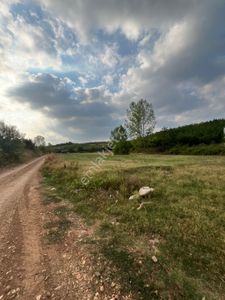 Arsa-Tarla