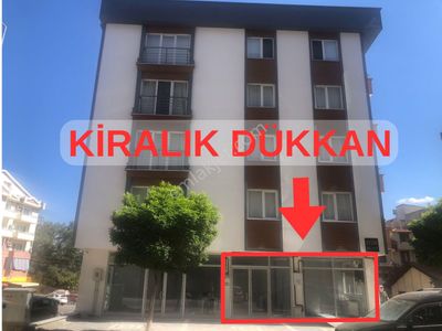 İşyeri-Dükkan & Mağaza