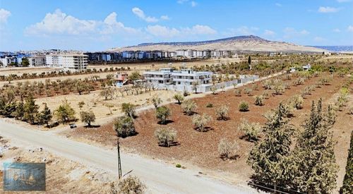Arsa-Ticari İmarlı