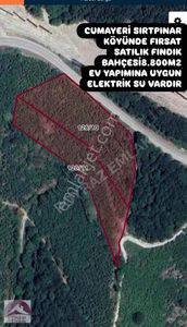 Arsa-Tarla