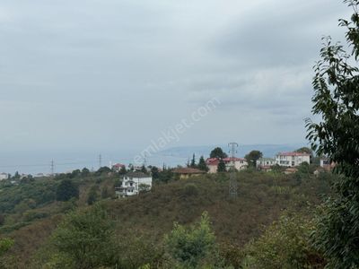 Arsa-Bağ & Bahçe