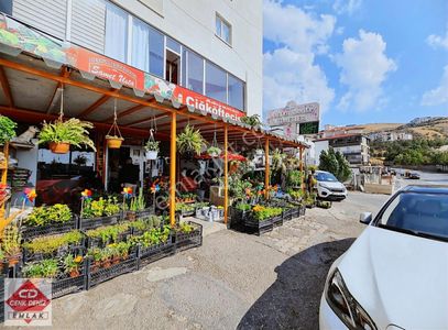 İşyeri-Dükkan & Mağaza