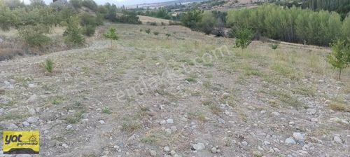 Arsa-Bağ & Bahçe