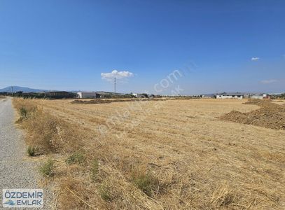 Arsa-Tarla