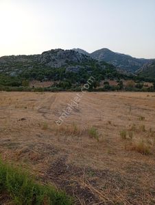 Arsa-Tarla