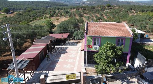 Konut-Villa