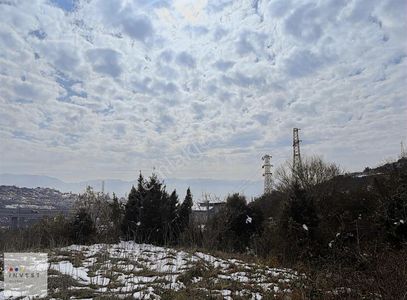 Arsa-Konut İmarlı