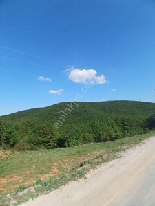 Arsa-Tarla