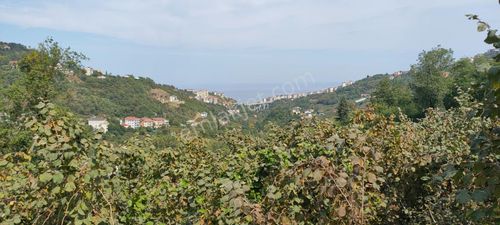 Arsa-Villa İmarlı