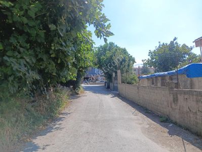 Konut-Bina