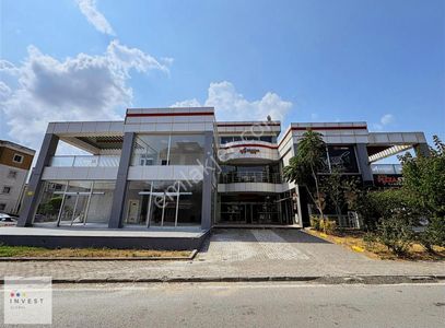 İşyeri-Dükkan & Mağaza