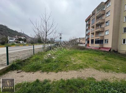 Arsa-Konut İmarlı