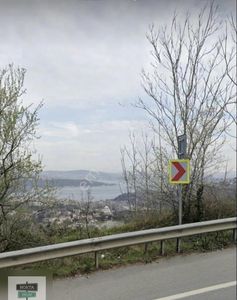 Arsa-Zeytinlik