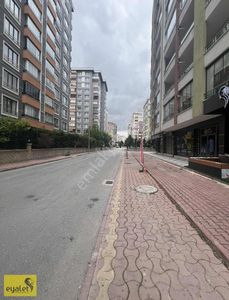 İşyeri-Dükkan & Mağaza