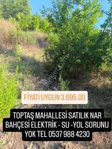 Arsa-Tarla
