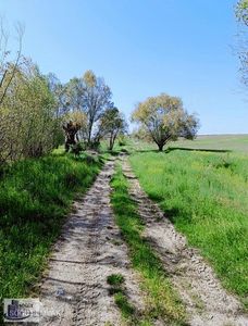 Arsa-Tarla