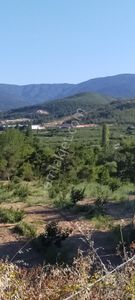Arsa-Tarla
