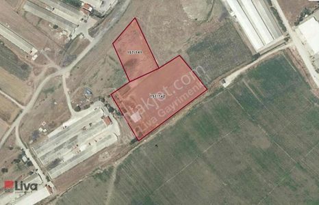 Arsa-Depo, Antrepo İzinli