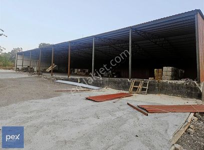 İşyeri-Depo