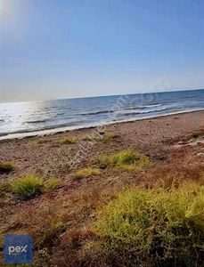 Arsa-Ticari İmarlı