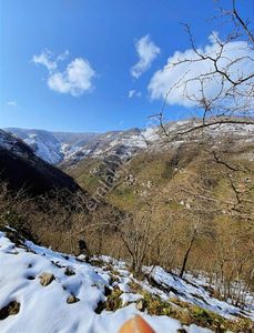 Arsa-Bağ & Bahçe