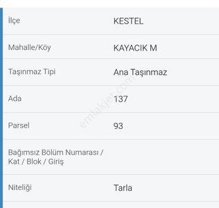 Arsa-Tarla