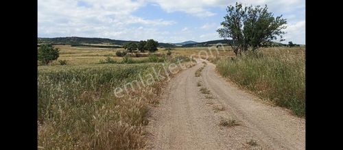 Arsa-Tarla