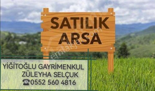 Arsa-Arazi