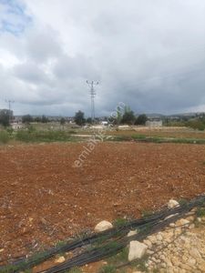 Arsa-Tarla