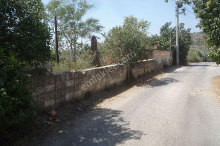 Arsa-Tarla