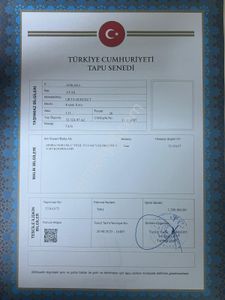 Arsa-Bağ & Bahçe