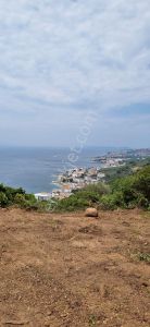 Arsa-Zeytinlik